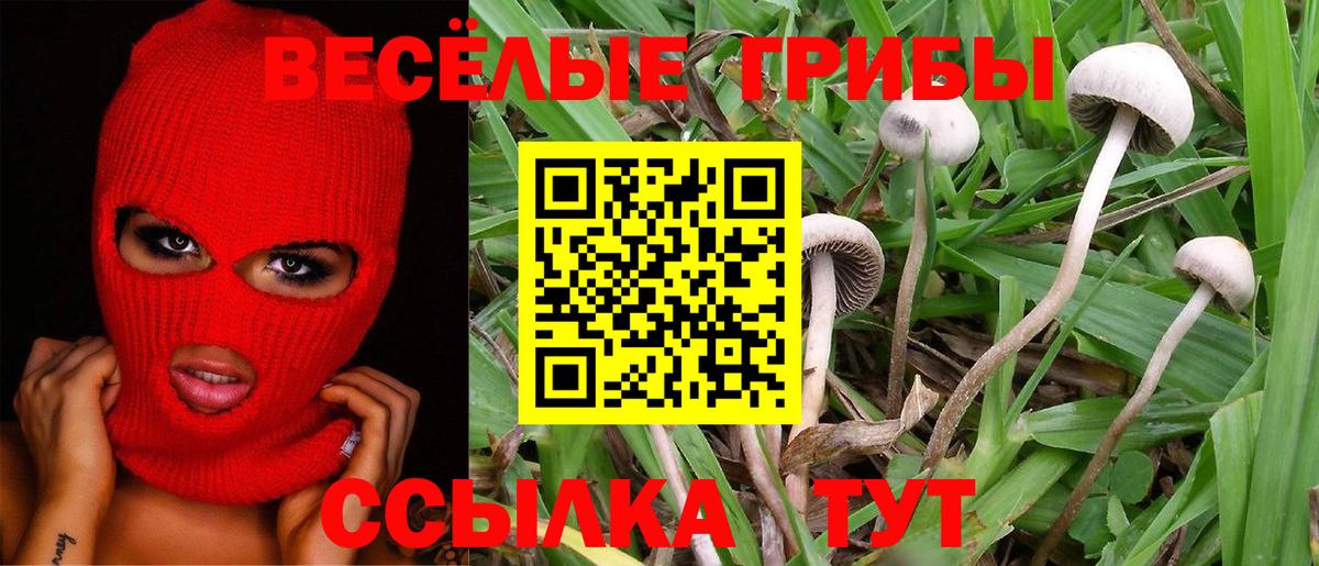 Галлюциногенные грибы прущие грибы  Галлюциногенные грибы MAGIC MUSHROOMS  Всеволожск  Вход с VPN 